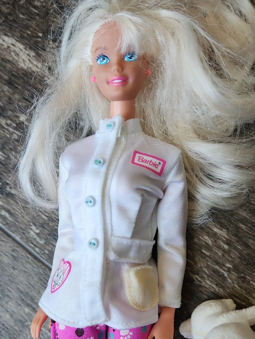 90s Barbie Pet Doctor And Accessories